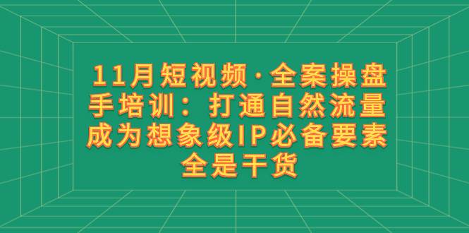 11月短视频·全案操盘手培训：打通自然流量 成为想象级IP必备要素 全是干货 - 维兴科技-维兴科技