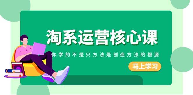 淘系-运营核心课，你学的不是只方法是创造方法的根源（190节课） - 维兴科技-维兴科技