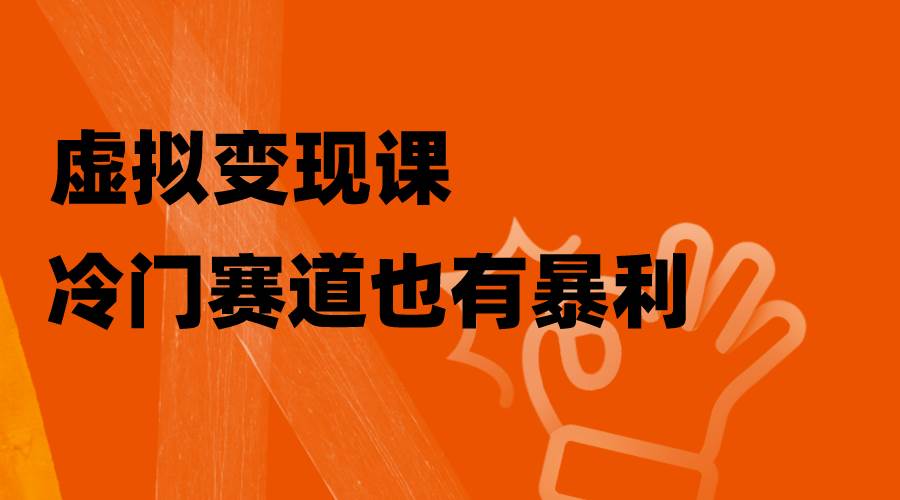 虚拟变现课，冷门赛道也有暴利，手把手教你玩转冷门私域 - 维兴科技-维兴科技