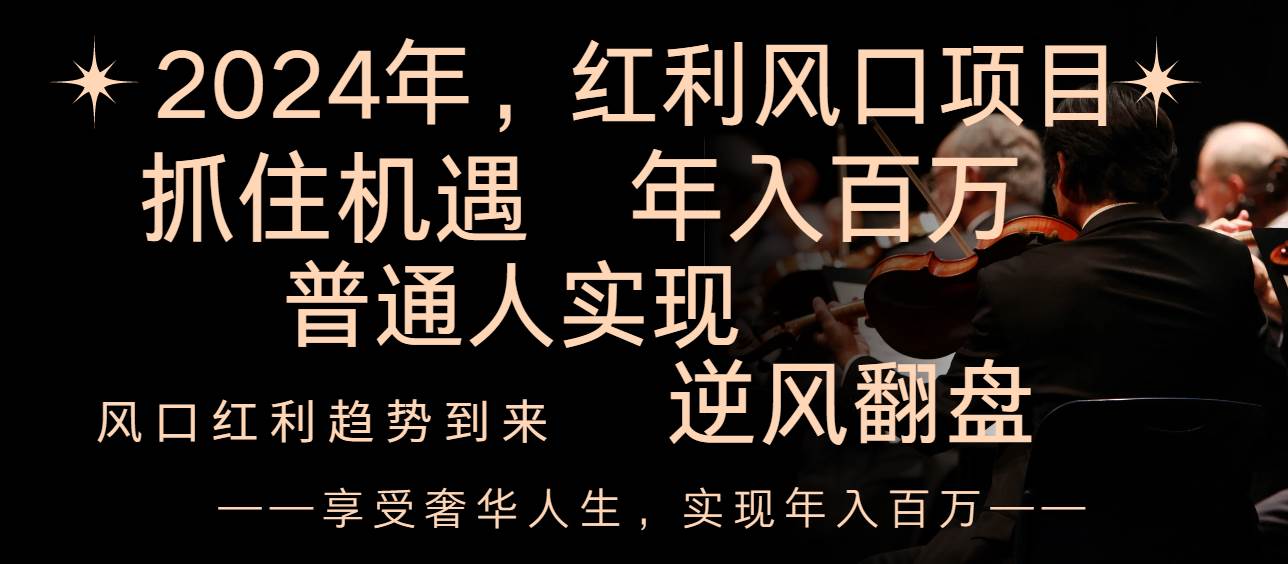 2024红利风口项目来袭，享受第一波红利，逆风翻盘普通人也能实现，年入百万 - 维兴科技-维兴科技