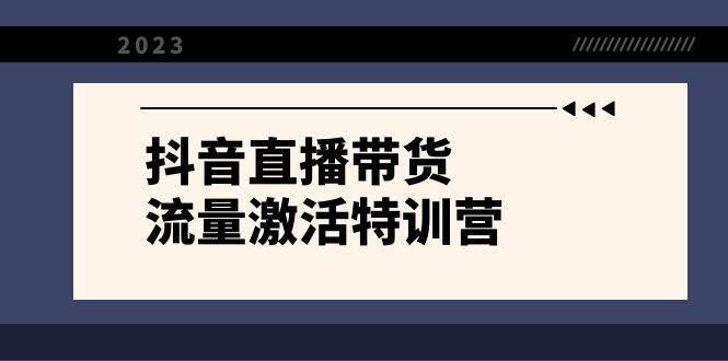 抖音直播带货-流量激活特训营，入行新手小白主播必学（21节课+资料） - 维兴科技-维兴科技