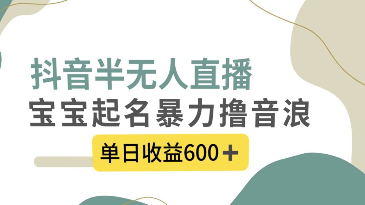 抖音半无人直播，宝宝起名，暴力撸音浪，单日收益600+ - 维兴科技-维兴科技
