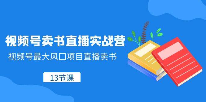 视频号-卖书直播实战营，视频号最大风囗项目直播卖书（13节课） - 维兴科技-维兴科技
