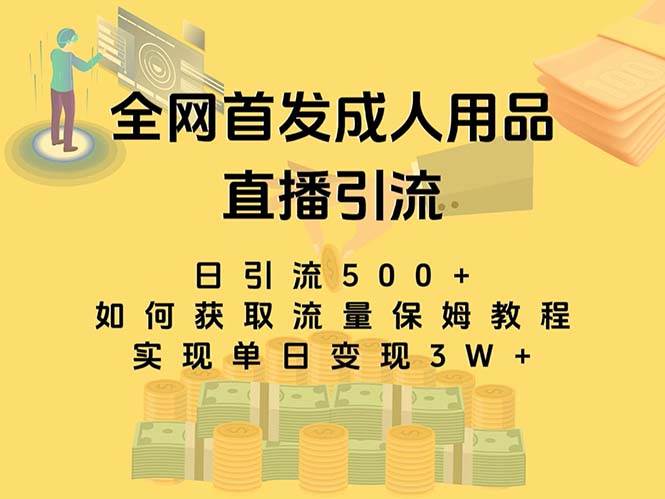最新全网独创首发，成人用品直播引流获客暴力玩法，单日变现3w保姆级教程 - 维兴科技-维兴科技