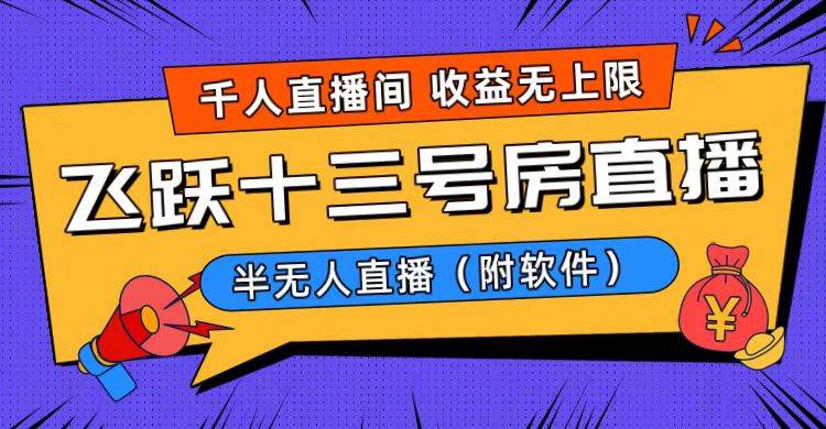 爆火飞跃十三号房半无人直播，一场直播上千人，日入过万！（附软件） - 维兴科技-维兴科技