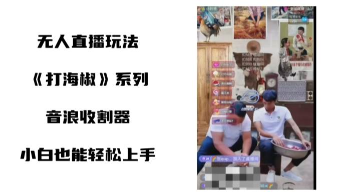 打海椒无人直播整蛊项目，小白轻松上手撸音浪收割器（教程+工具+素材） - 维兴科技-维兴科技