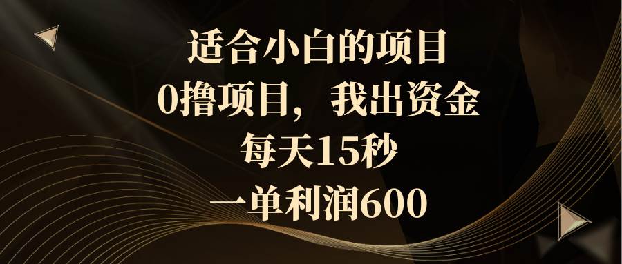 适合小白的项目，0撸项目，我出资金，每天15秒，一单利润600 - 维兴科技-维兴科技