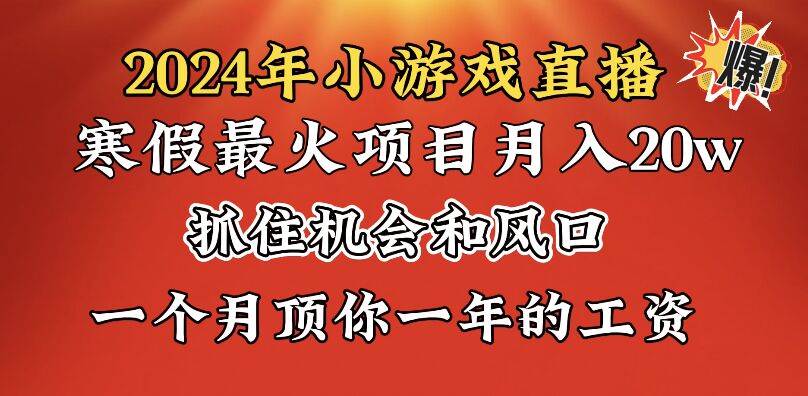 2024年寒假爆火项目，小游戏直播月入20w+，学会了之后你将翻身 - 维兴科技-维兴科技