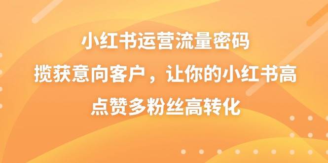 小红书运营流量密码，揽获意向客户，让你的小红书高点赞多粉丝高转化 - 维兴科技-维兴科技
