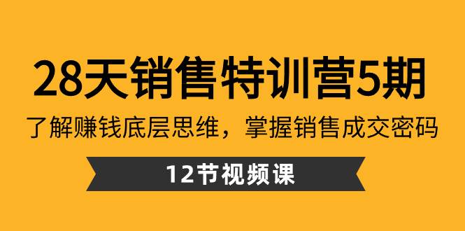 28天·销售特训营5期：了解赚钱底层思维，掌握销售成交密码（12节课） - 维兴科技-维兴科技