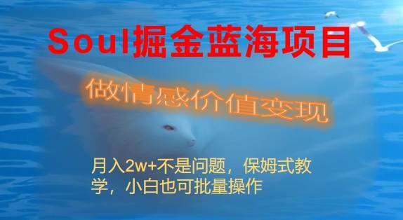 Soul掘金蓝海项目细分赛道，做情感价值变现，月入2w+不是问题 - 维兴科技-维兴科技