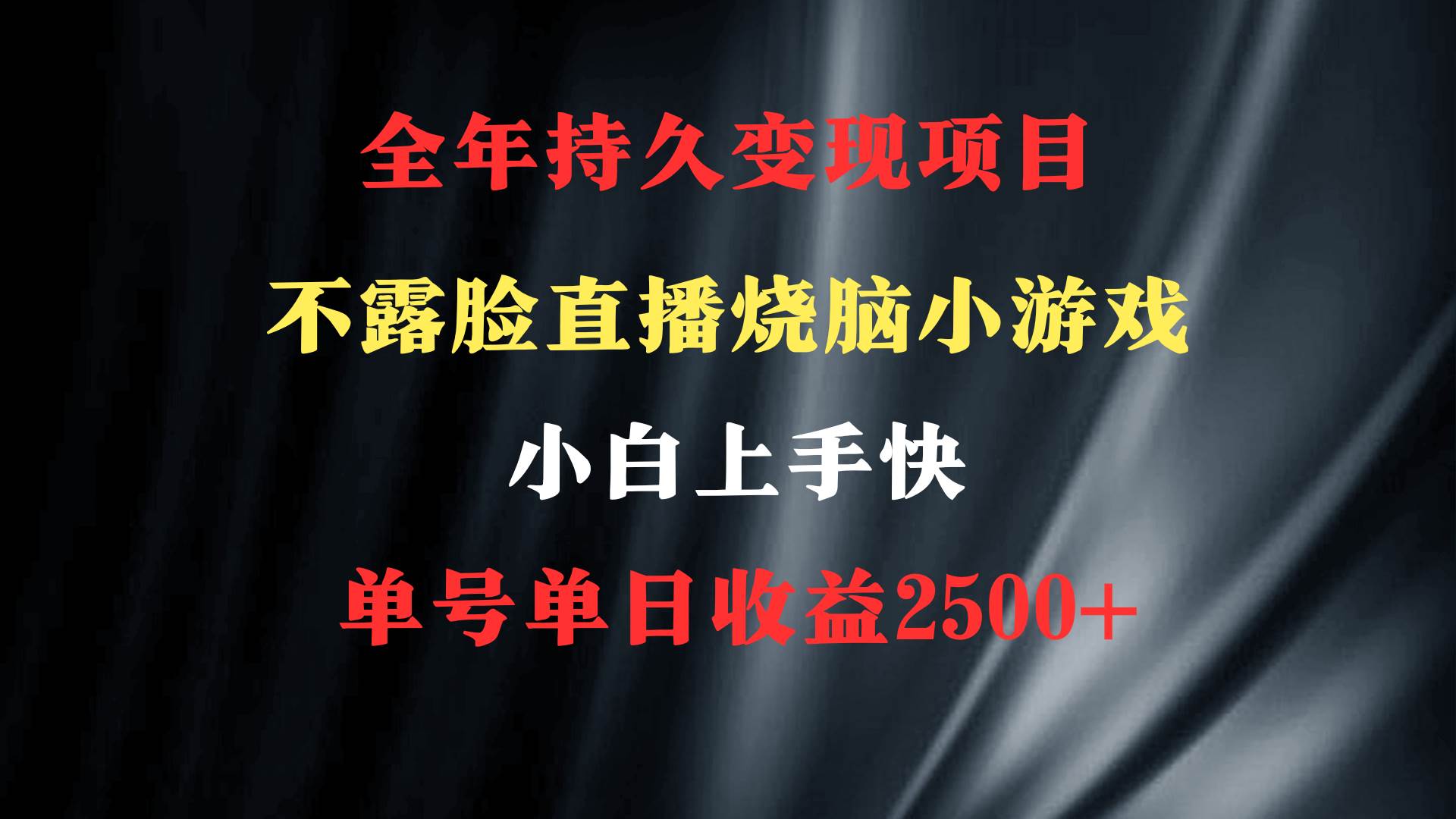 2024年 最优项目，烧脑小游戏不露脸直播 小白上手快 无门槛 一天收益2500+ - 维兴科技-维兴科技