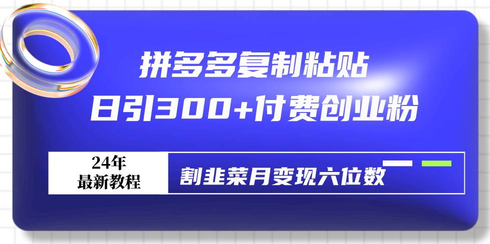 拼多多复制粘贴日引300+付费创业粉，割韭菜月变现六位数最新教程！ - 维兴科技-维兴科技