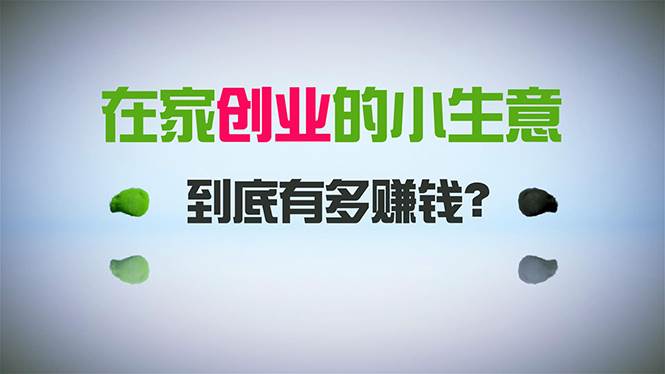 在家创业，日引300+创业粉，一年收入30万，闷声发财的小生意，比打工强 - 维兴科技-维兴科技