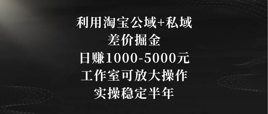 利用淘宝公域+私域差价掘金，日赚1000-5000元，工作室可放大操作，实操… - 维兴科技-维兴科技