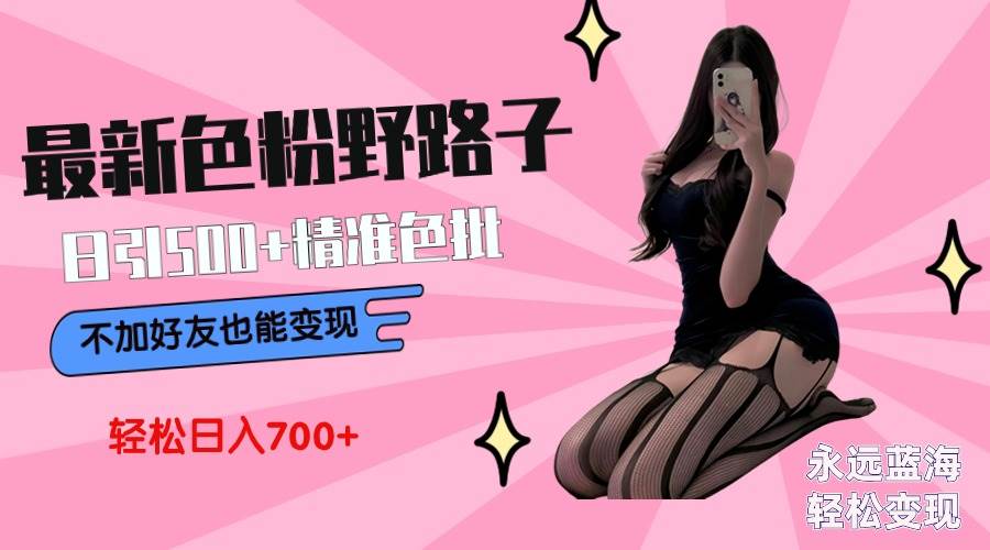最新色粉变现野路子，日引500+老色批 可不加好友直接变现 小白轻松日入700+ - 维兴科技-维兴科技