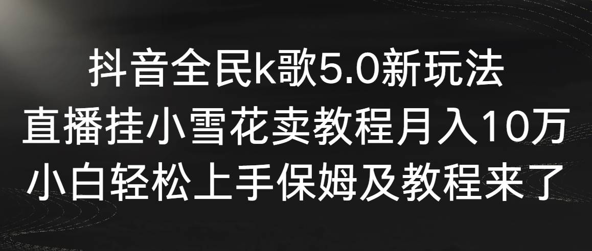 抖音全民k歌5.0新玩法，直播挂小雪花卖教程月入10万，小白轻松上手，保… - 维兴科技-维兴科技