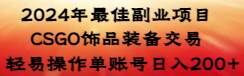 2024年最佳副业项目 CSGO饰品装备交易 轻易操作单账号日入200+ - 维兴科技-维兴科技
