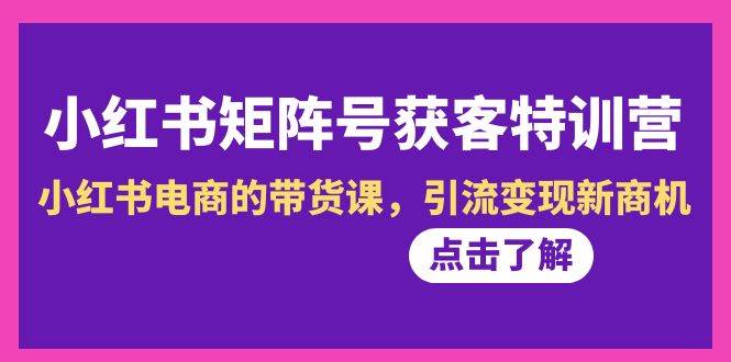 小红书-矩阵号获客特训营-第10期，小红书电商的带货课，引流变现新商机 - 维兴科技-维兴科技