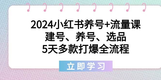 2024小红书养号+流量课：建号、养号、选品，5天多款打爆全流程 - 维兴科技-维兴科技