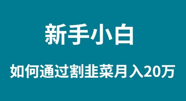 新手小白如何通过割韭菜月入 20W - 维兴科技-维兴科技