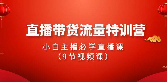 2024直播带货流量特训营，小白主播必学直播课（9节视频课） - 维兴科技-维兴科技
