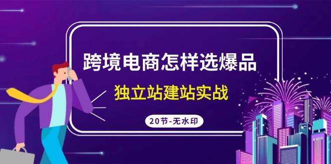 跨境电商怎样选爆品，独立站建站实战（20节高清无水印课） - 维兴科技-维兴科技