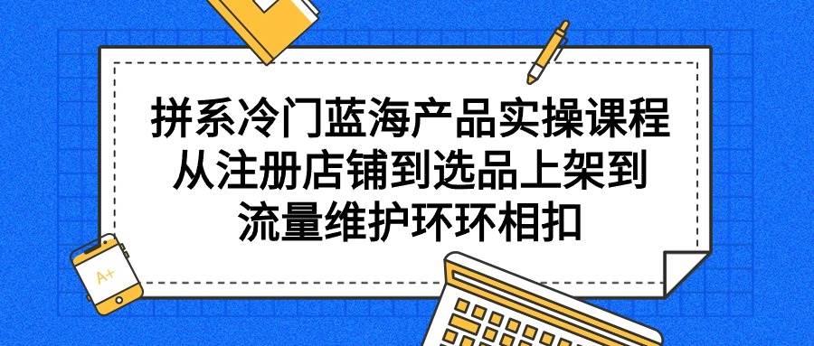 拼系冷门蓝海产品实操课程，从注册店铺到选品上架到流量维护环环相扣 - 维兴科技-维兴科技