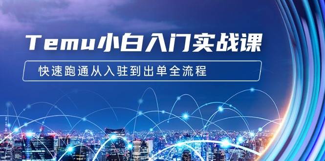 Temu小白入门实战课：跨境拼多多电商培训 快速跑通从入驻到出单全流程-12节 - 维兴科技-维兴科技