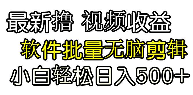 发视频撸收益，软件无脑批量剪辑，第一天发第二天就有钱 - 维兴科技-维兴科技