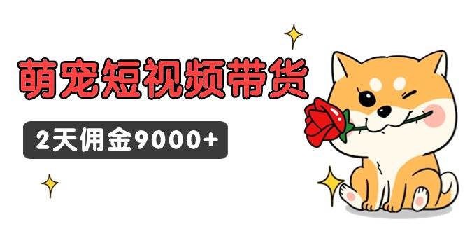 东哲日记·萌宠短视频带货，2天佣金9000+ - 维兴科技-维兴科技