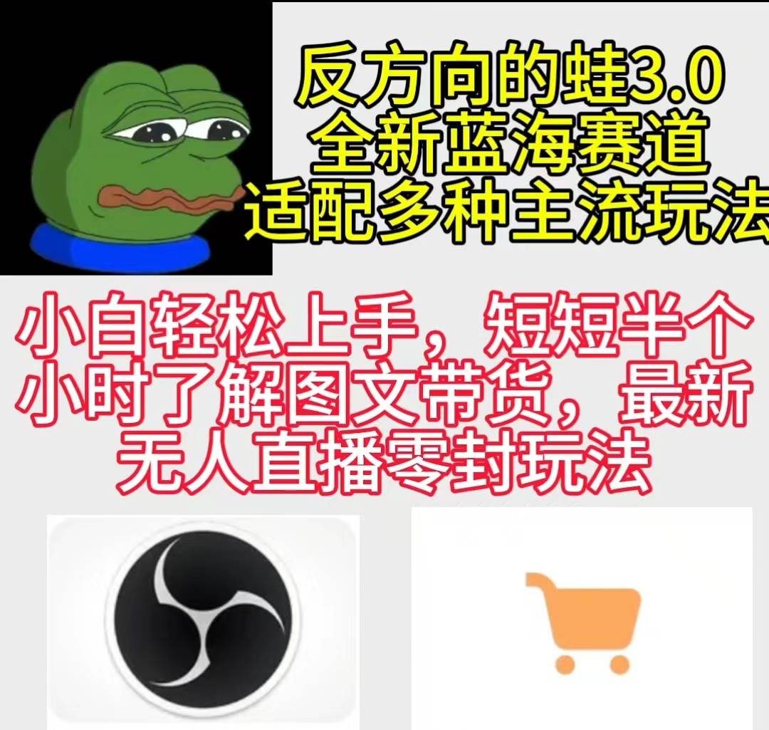 反方向的蛙3.0，图文最新玩法，变现多元化，新蓝海项目，小白轻松上手 - 维兴科技-维兴科技
