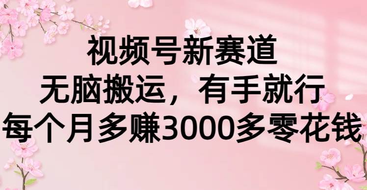 视频号新赛道，无脑搬运，有手就行，每个月多赚3000多零花钱 - 维兴科技-维兴科技