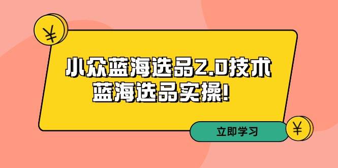 拼多多培训第33期：小众蓝海选品2.0技术-蓝海选品实操！ - 维兴科技-维兴科技