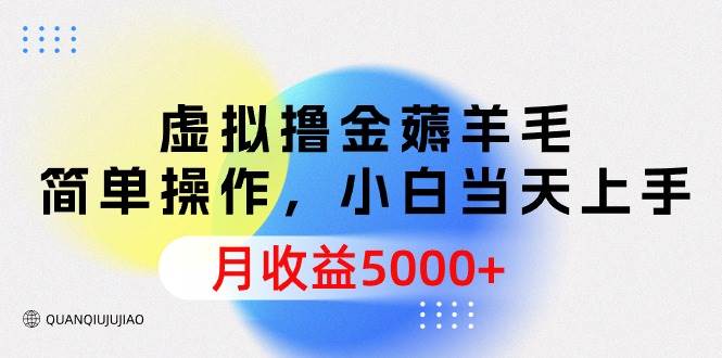 虚拟撸金薅羊毛，简单操作，小白当天上手，月收益5000+ - 维兴科技-维兴科技