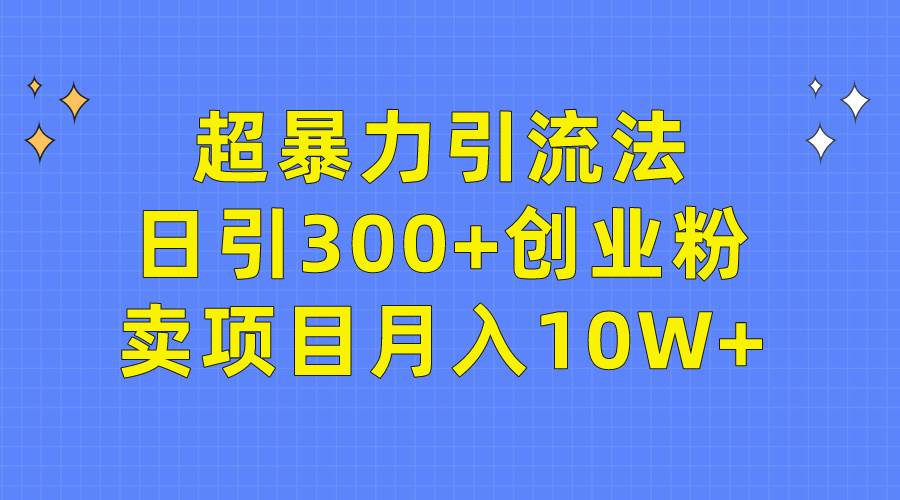 超暴力引流法，日引300+创业粉，卖项目月入10W+ - 维兴科技-维兴科技