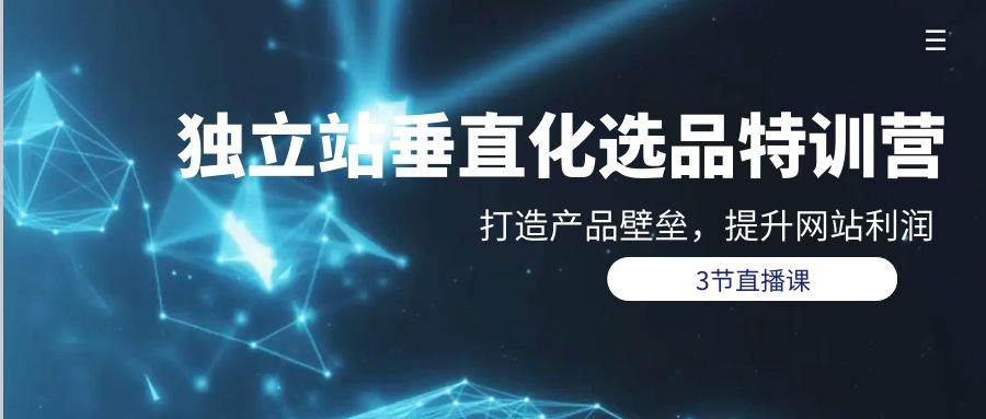 独立站-垂直化选品训练营，打造产品壁垒，提升网站利润（3节直播课） - 维兴科技-维兴科技