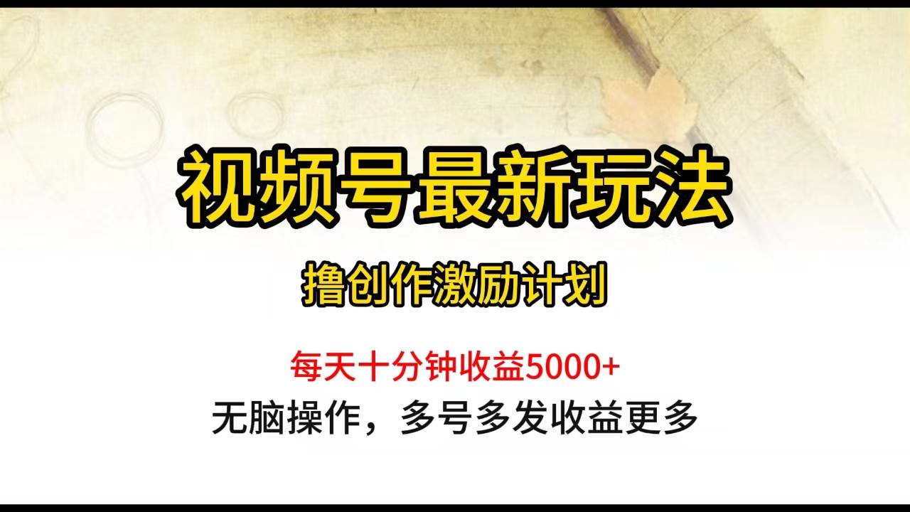 视频号最新玩法，每日一小时月入5000+ - 维兴科技-维兴科技