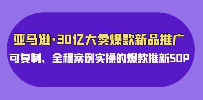 亚马逊30亿·大卖爆款新品推广，可复制、全程案例实操的爆款推新SOP - 维兴科技-维兴科技