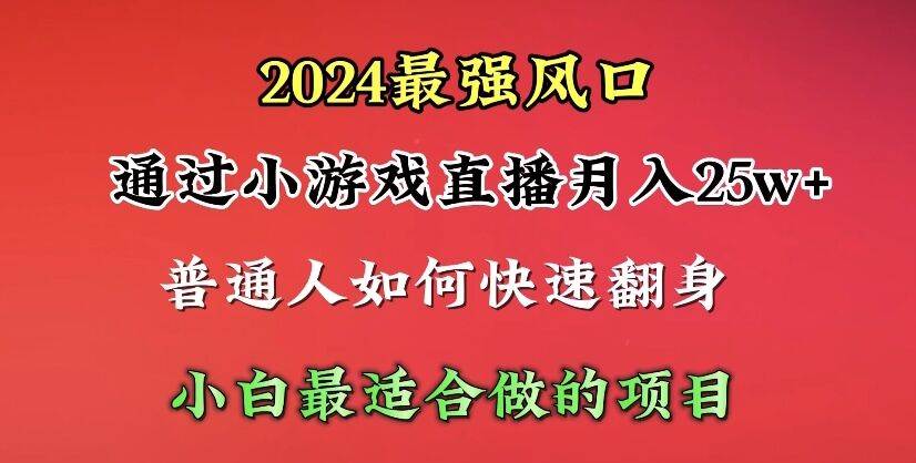 2024年最强风口，通过小游戏直播月入25w+单日收益5000+小白最适合做的项目 - 维兴科技-维兴科技