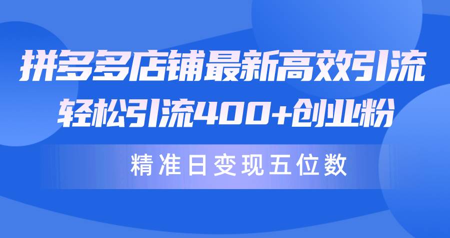 拼多多店铺最新高效引流术，轻松引流400+创业粉，精准日变现五位数！ - 维兴科技-维兴科技