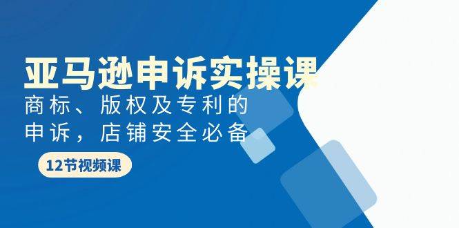 亚马逊-申诉实战课，商标、版权及专利的申诉，店铺安全必备 - 维兴科技-维兴科技