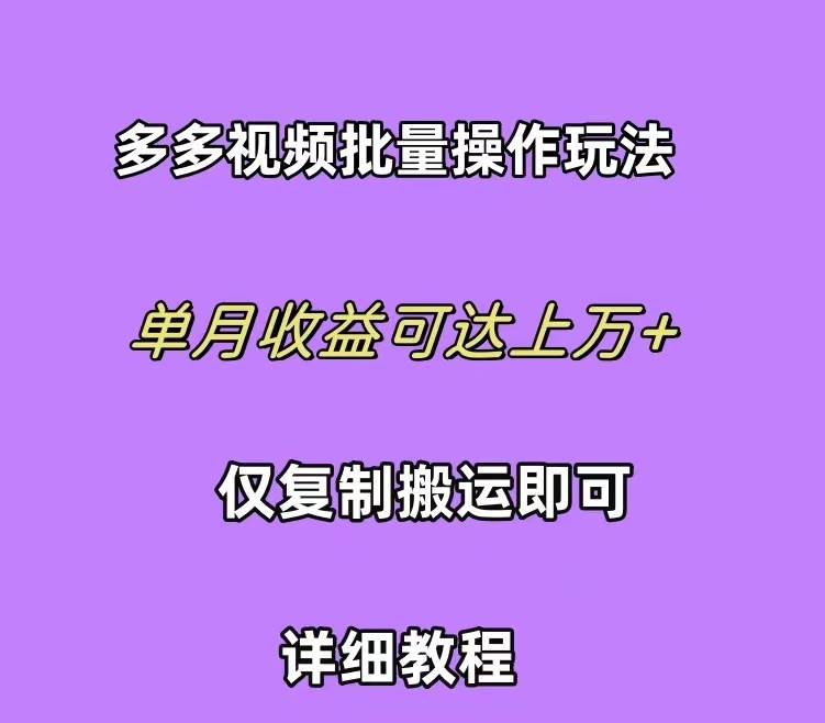 拼多多视频带货快速过爆款选品教程 每天轻轻松松赚取三位数佣金 小白必… - 维兴科技-维兴科技