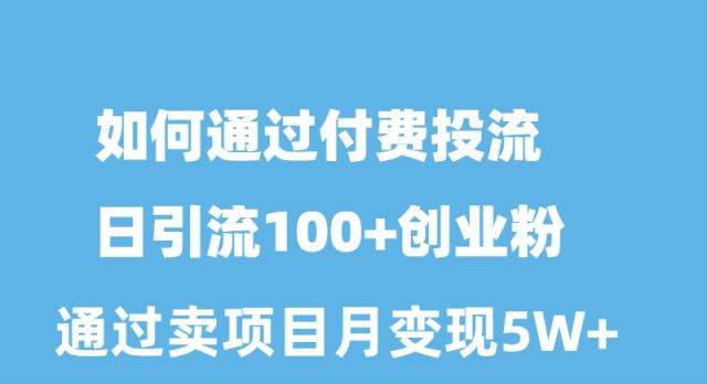 如何通过付费投流日引流100+创业粉月变现5W+ - 维兴科技-维兴科技