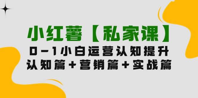 小红薯【私家课】0-1玩赚小红书内容营销，认知篇+营销篇+实战篇（11节课） - 维兴科技-维兴科技