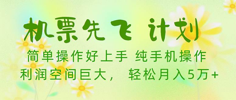 机票先飞计划！里程积分兑换机票售卖赚差价，利润空间巨大，小白月入5万+ - 维兴科技-维兴科技
