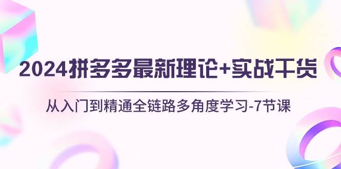 2024拼多多 最新理论+实战干货，从入门到精通全链路多角度学习-7节课 - 维兴科技-维兴科技