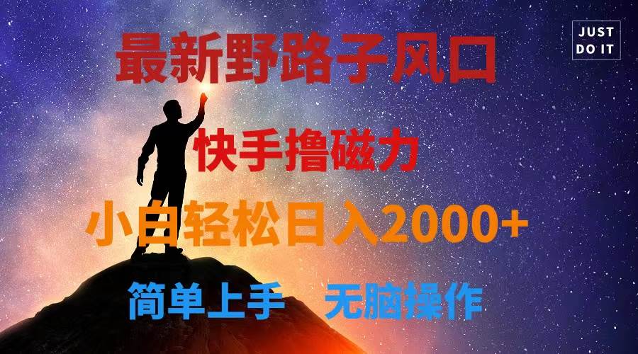 最新风口！快手撸磁力，野路子，小白无脑操作日入2000+ - 维兴科技-维兴科技