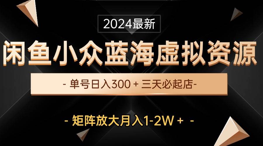 最新闲鱼小众蓝海虚拟资源，单号日入300＋，三天必起店，矩阵放大月入1-2W - 维兴科技-维兴科技
