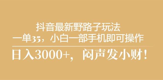 抖音最新野路子玩法，一单35，小白一部手机即可操作，，日入3000+，闷… - 维兴科技-维兴科技